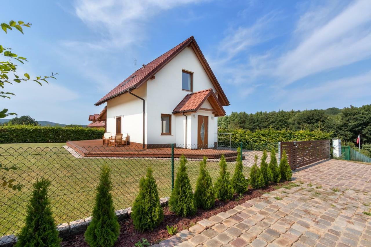 Wisełka Amber Houseヴィラ エクステリア 写真
